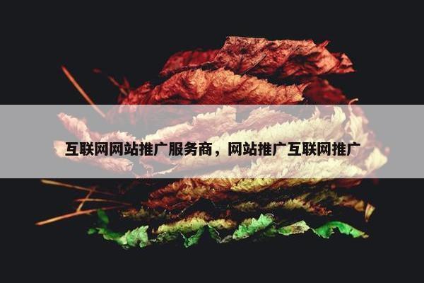 互联网网站推广服务商，网站推广互联网推广
