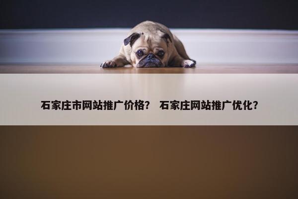 石家庄市网站推广价格？ 石家庄网站推广优化？