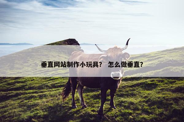 垂直网站制作小玩具？ 怎么做垂直？