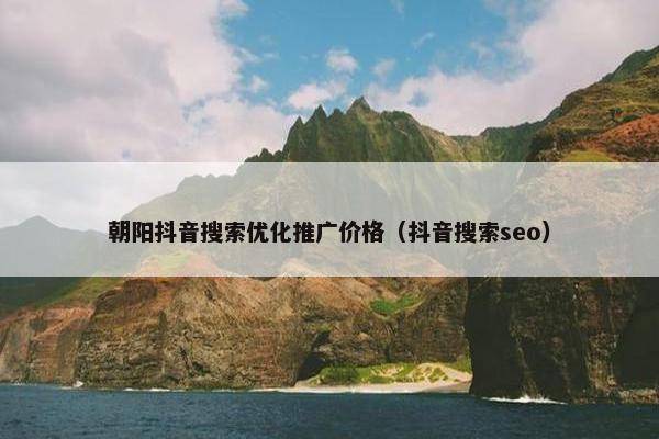 朝阳抖音搜索优化推广价格（抖音搜索seo）