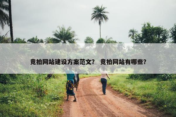 竞拍网站建设方案范文？ 竞拍网站有哪些？