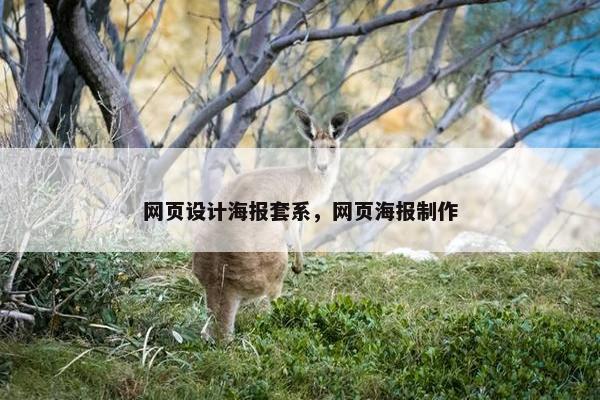 网页设计海报套系，网页海报制作