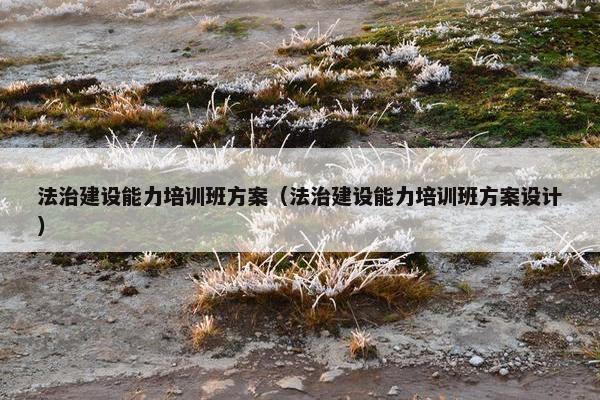 法治建设能力培训班方案（法治建设能力培训班方案设计）