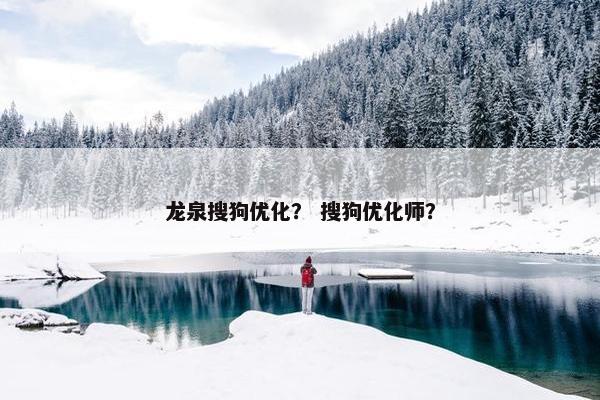龙泉搜狗优化？ 搜狗优化师？
