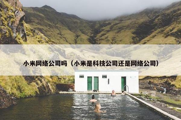 小米网络公司吗（小米是科技公司还是网络公司）