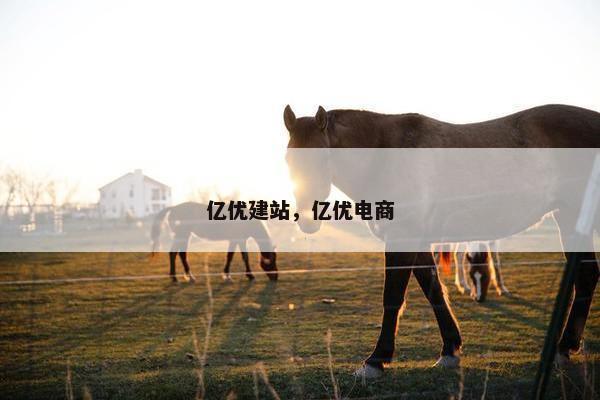 亿优建站，亿优电商