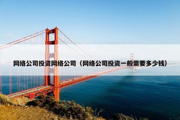 网络公司投资网络公司（网络公司投资一般需要多少钱）