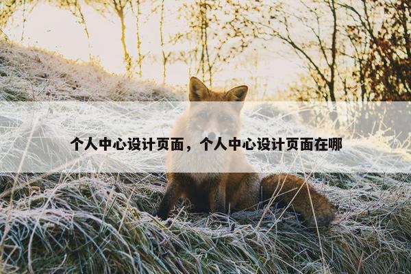 个人中心设计页面，个人中心设计页面在哪