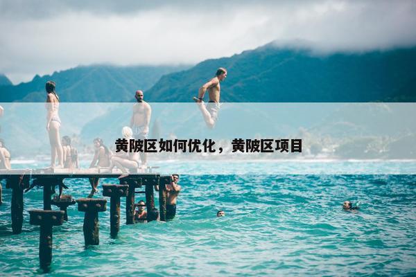 黄陂区如何优化，黄陂区项目