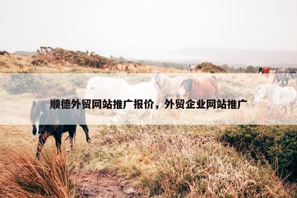 顺德外贸网站推广报价，外贸企业网站推广
