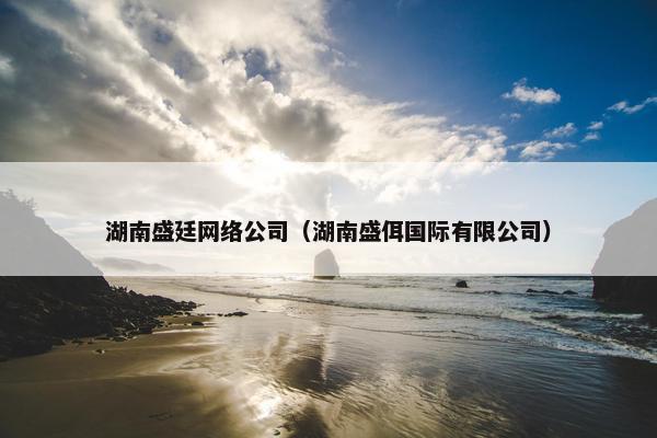 湖南盛廷网络公司（湖南盛佴国际有限公司）