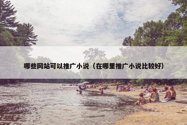 哪些网站可以推广小说（在哪里推广小说比较好）