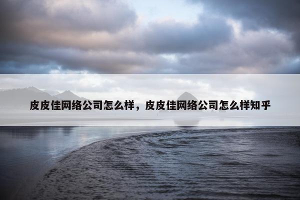 皮皮佳网络公司怎么样，皮皮佳网络公司怎么样知乎