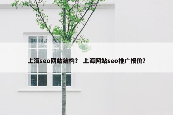 上海seo网站结构？ 上海网站seo推广报价？