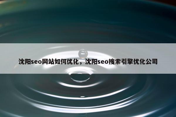 沈阳seo网站如何优化，沈阳seo搜索引擎优化公司