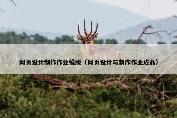 网页设计制作作业模版（网页设计与制作作业成品）