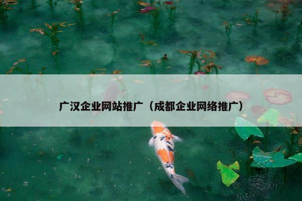 广汉企业网站推广（成都企业网络推广）