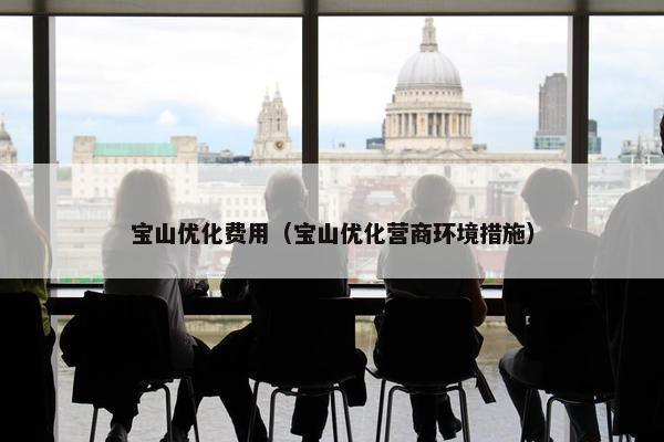 宝山优化费用（宝山优化营商环境措施）