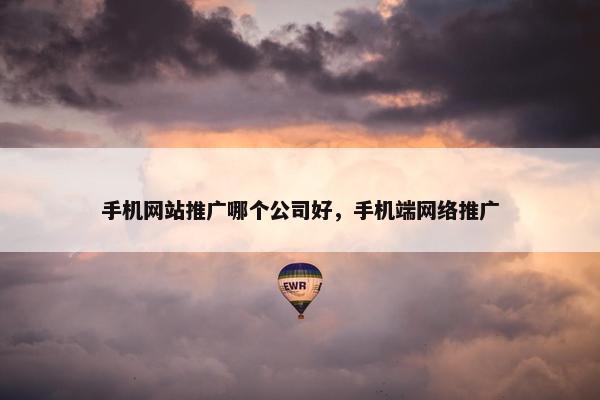 手机网站推广哪个公司好，手机端网络推广