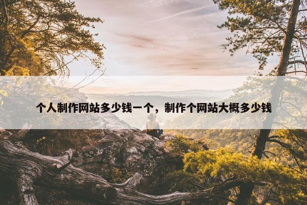 个人制作网站多少钱一个，制作个网站大概多少钱