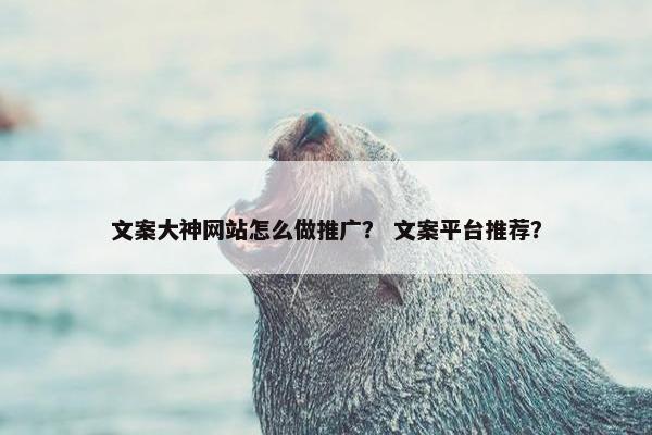 文案大神网站怎么做推广？ 文案平台推荐？