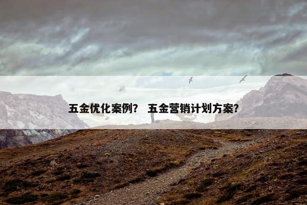 五金优化案例？ 五金营销计划方案？