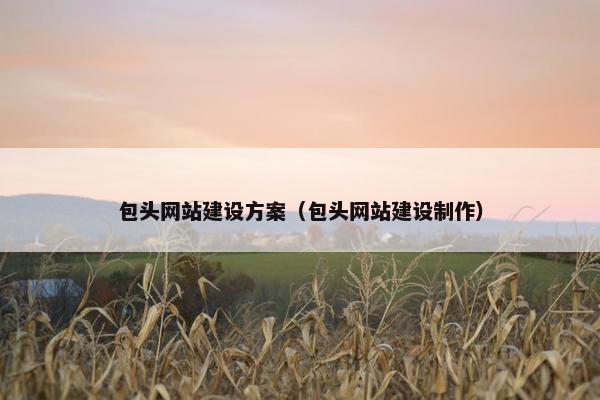 包头网站建设方案（包头网站建设制作）