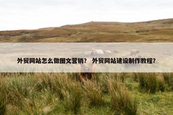 外贸网站怎么做图文营销？ 外贸网站建设制作教程？