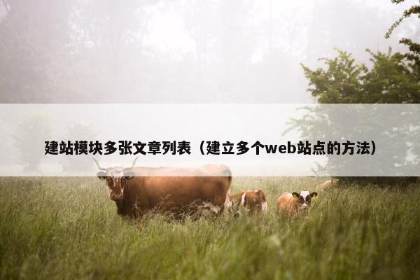 建站模块多张文章列表（建立多个web站点的方法）