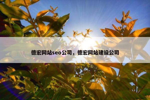 德宏网站seo公司，德宏网站建设公司
