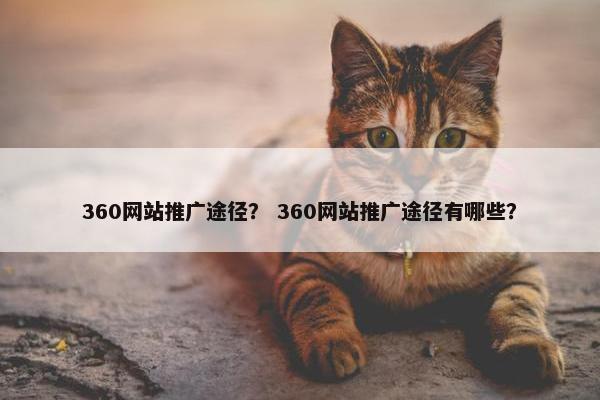 360网站推广途径？ 360网站推广途径有哪些？