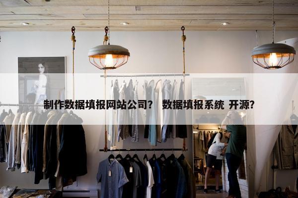 制作数据填报网站公司？ 数据填报系统 开源？
