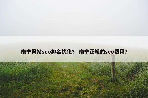南宁网站seo排名优化？ 南宁正规的seo费用？