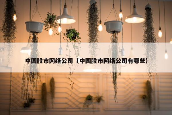 中国股市网络公司（中国股市网络公司有哪些）