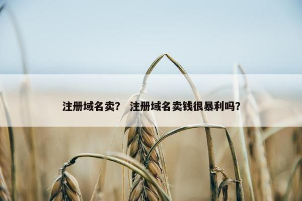 注册域名卖？ 注册域名卖钱很暴利吗？