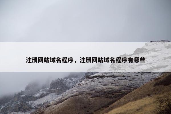 注册网站域名程序，注册网站域名程序有哪些