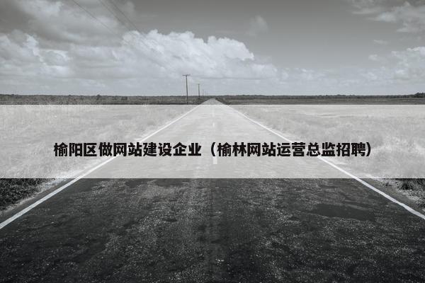 榆阳区做网站建设企业（榆林网站运营总监招聘）