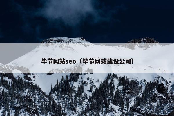 毕节网站seo（毕节网站建设公司）