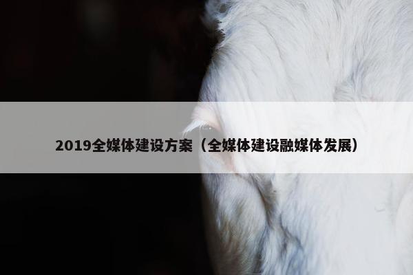 2019全媒体建设方案（全媒体建设融媒体发展）