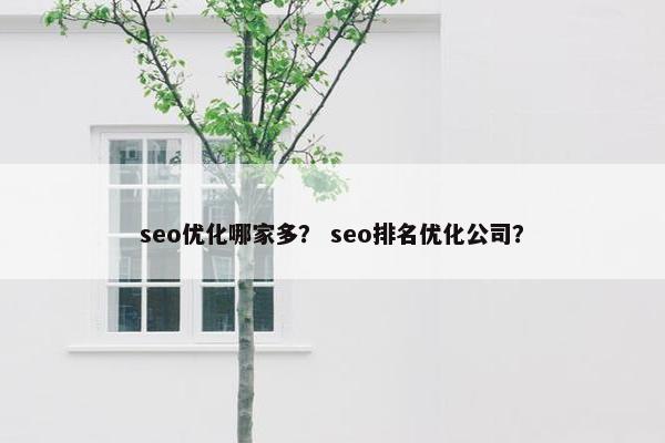 seo优化哪家多？ seo排名优化公司？