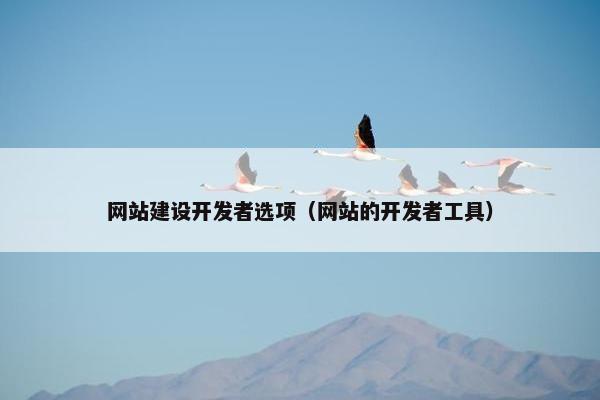 网站建设开发者选项（网站的开发者工具）