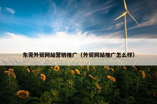 东莞外贸网站营销推广（外贸网站推广怎么样）