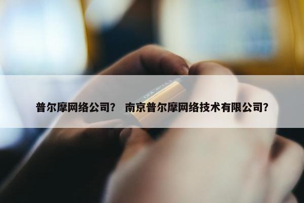 普尔摩网络公司？ 南京普尔摩网络技术有限公司？