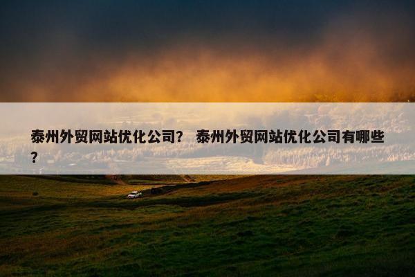 泰州外贸网站优化公司？ 泰州外贸网站优化公司有哪些？
