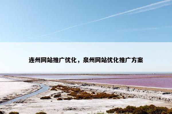 连州网站推广优化，泉州网站优化推广方案