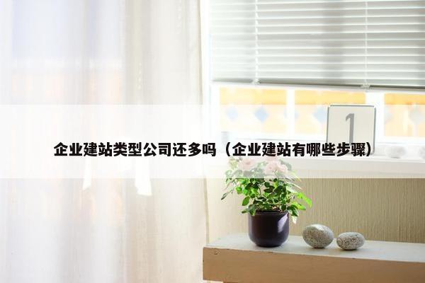 企业建站类型公司还多吗（企业建站有哪些步骤）