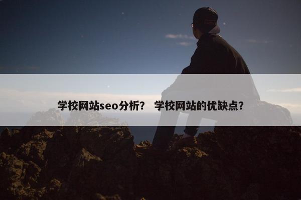 学校网站seo分析？ 学校网站的优缺点？