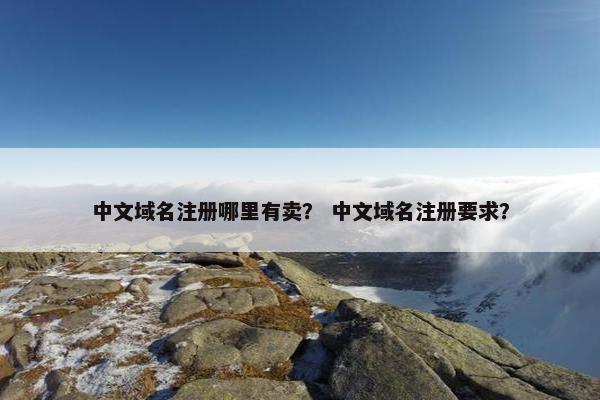 中文域名注册哪里有卖？ 中文域名注册要求？