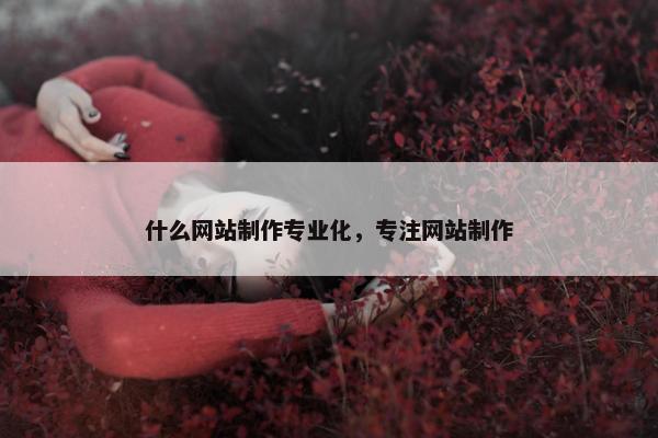 什么网站制作专业化，专注网站制作