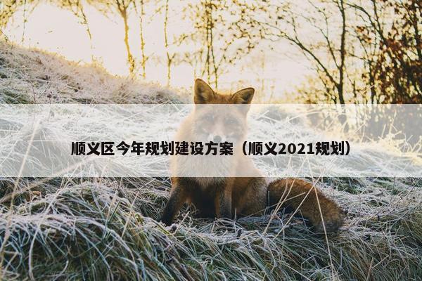 顺义区今年规划建设方案（顺义2021规划）